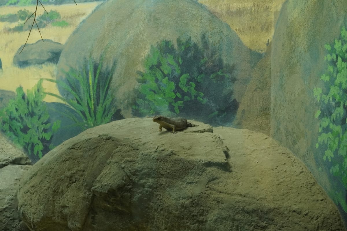 Scrawl 003 Dysphoria